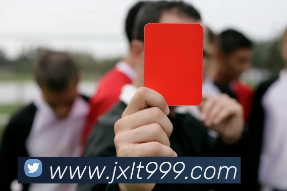 九游体育官网入口在哪发展历程